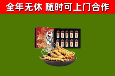 察雅县烟酒回收冬虫夏草礼盒.jpg
